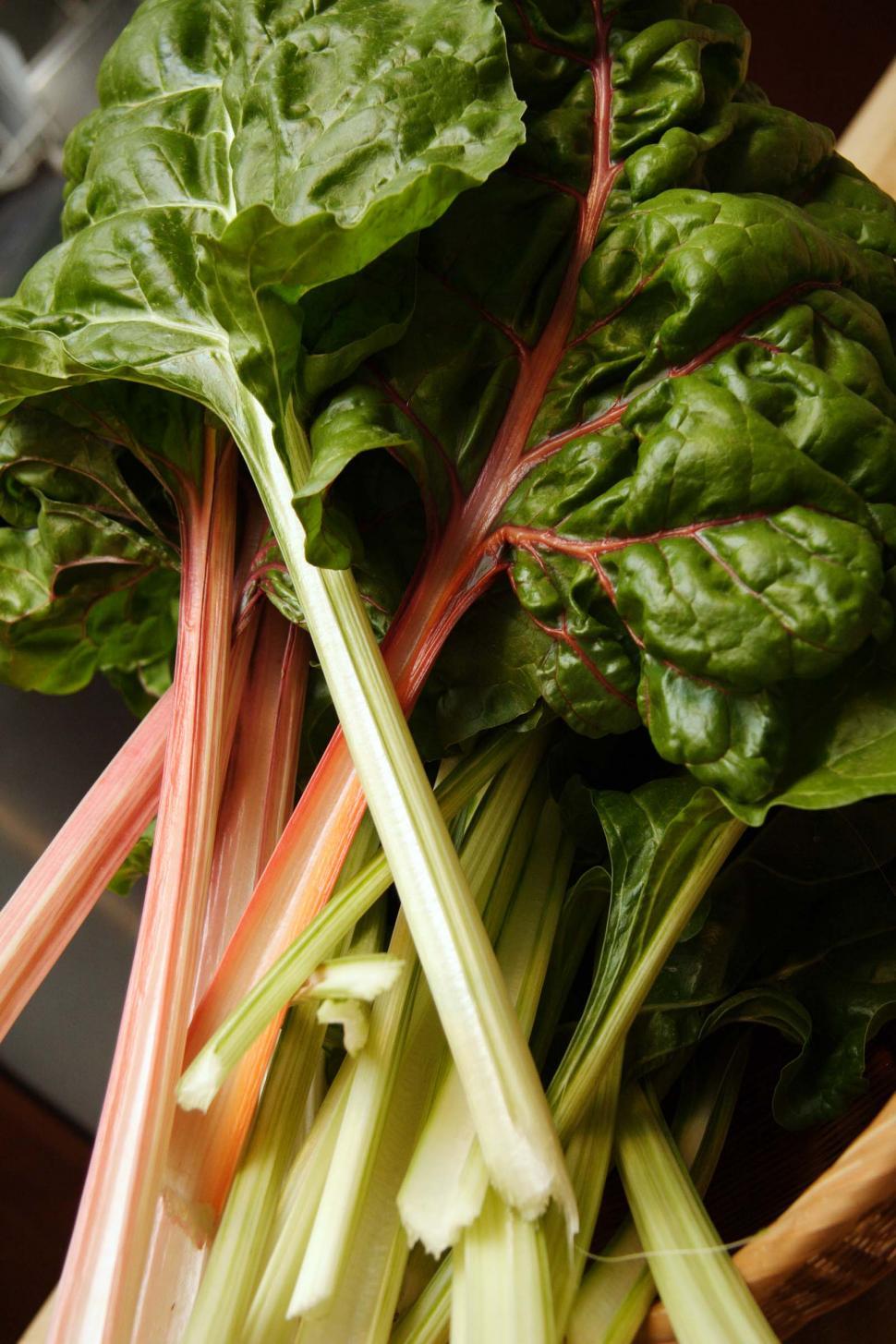 Free Image of Swiss chard 