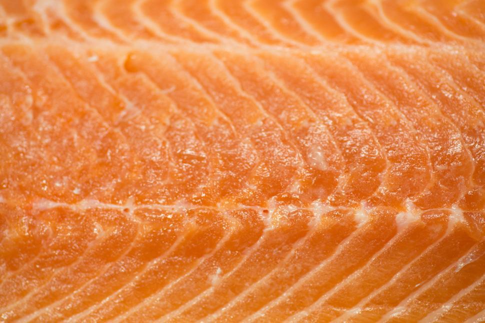 Free Image of Salmon 