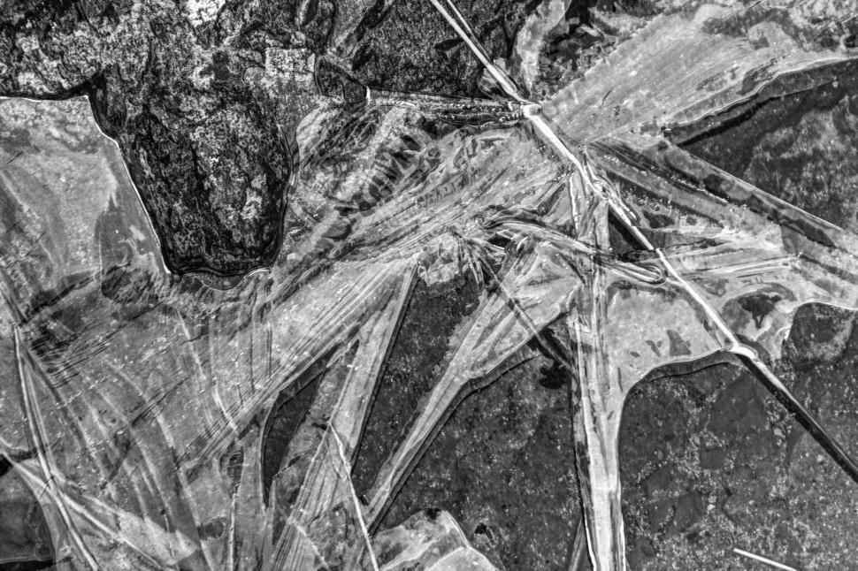Free Image of Frosted Ice - Background 