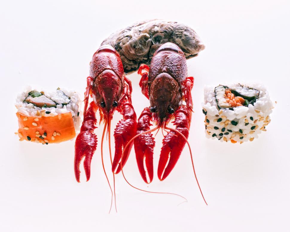 Free Image of seafood 