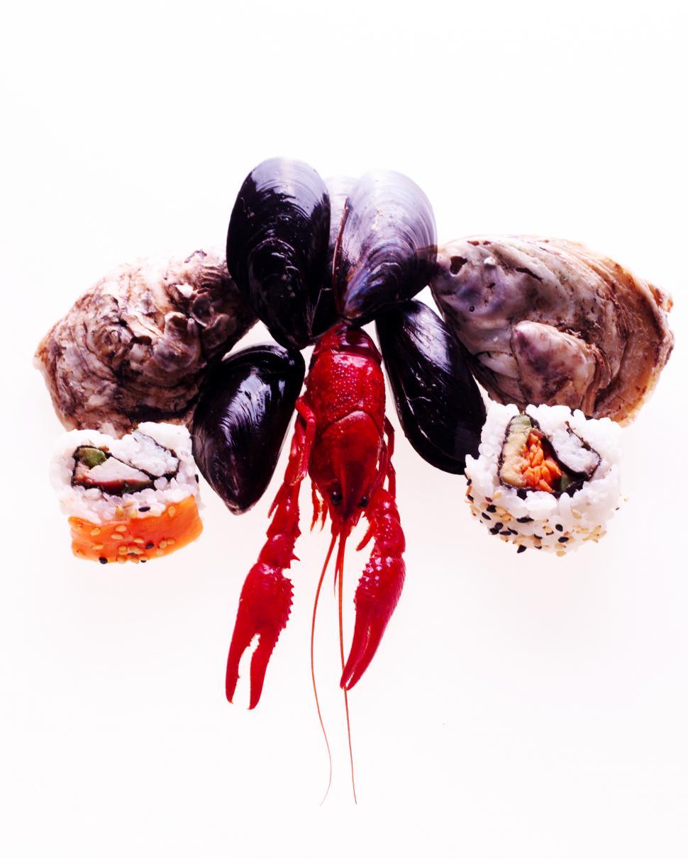 Free Image of seafood 