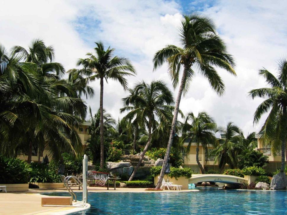 Free Image of Swimming pool 