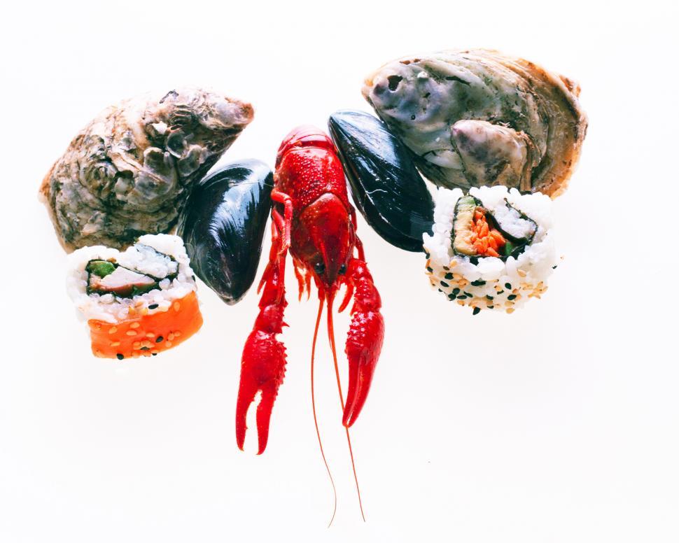 Free Image of seafood 