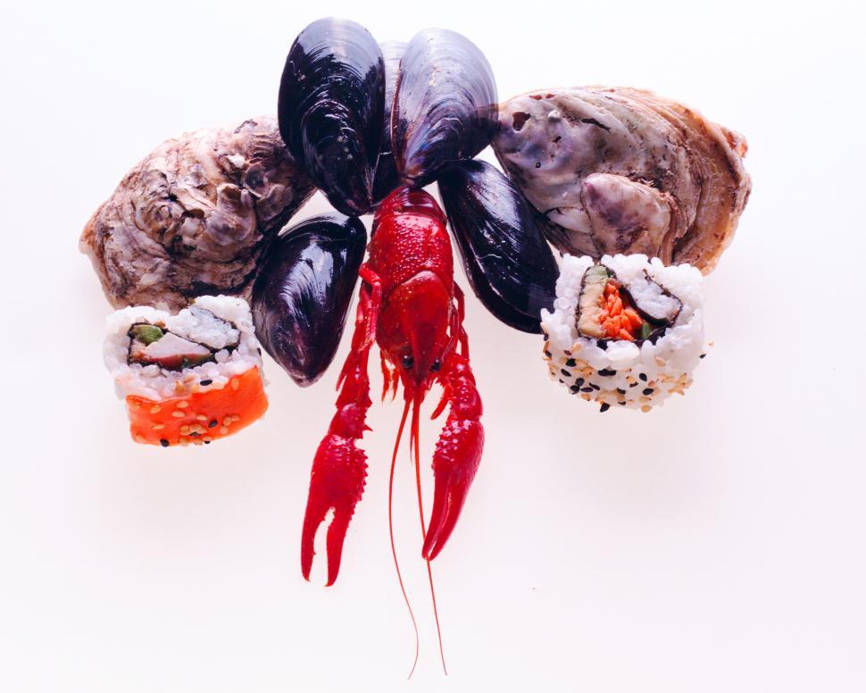 Free Image of seafood 