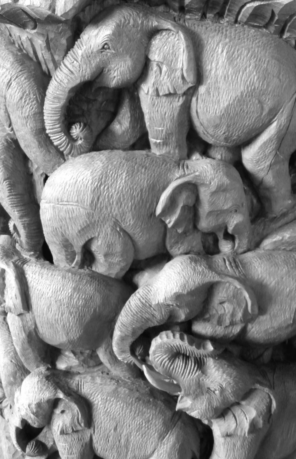 Free Image of Elephants Black and White 