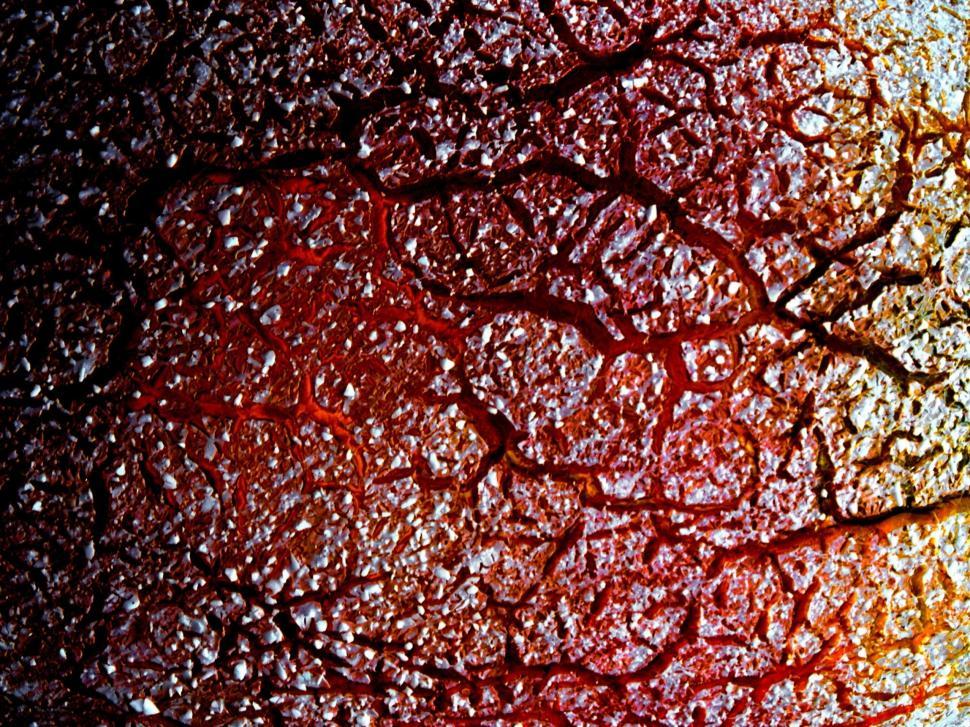 Free Image of Cracked Frosted Orange Background 