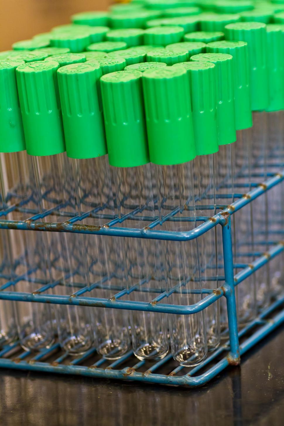 Free Image of Tubes 