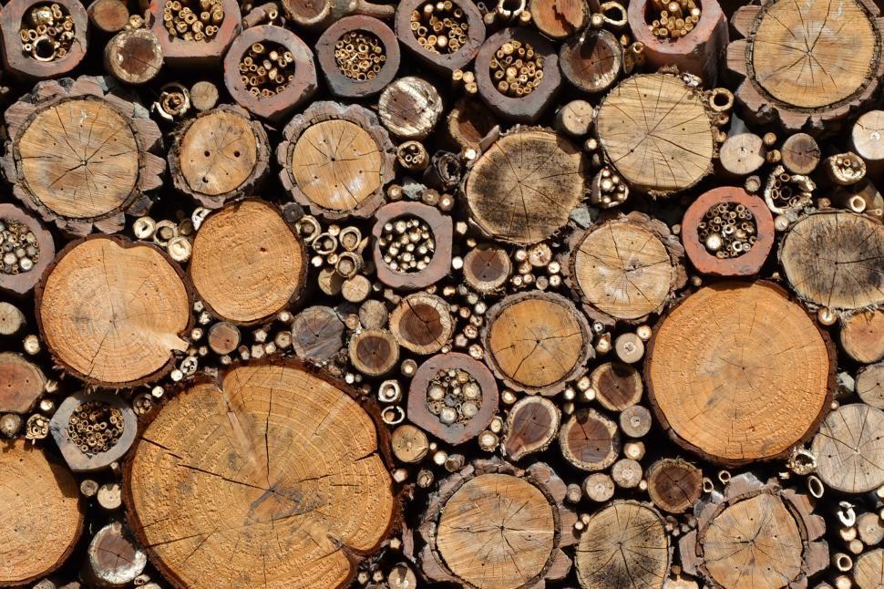 Free Image of Bug house 