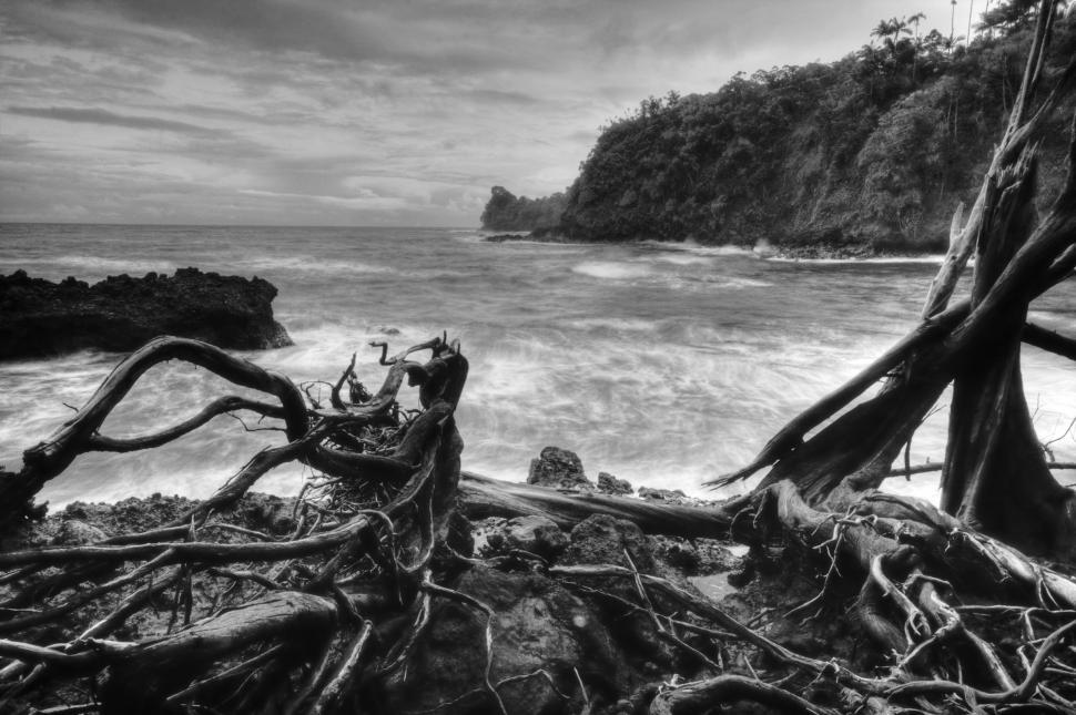 Free Image of Seascape 