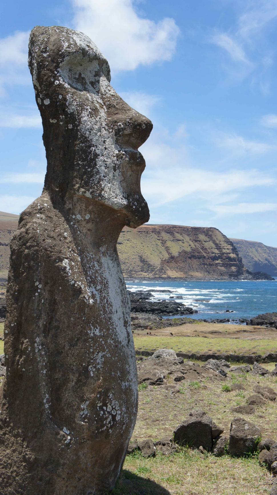 Free Image of Horses By Statues on Easter Island 