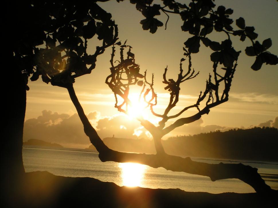 Free Image of Hawaiian Sunset 