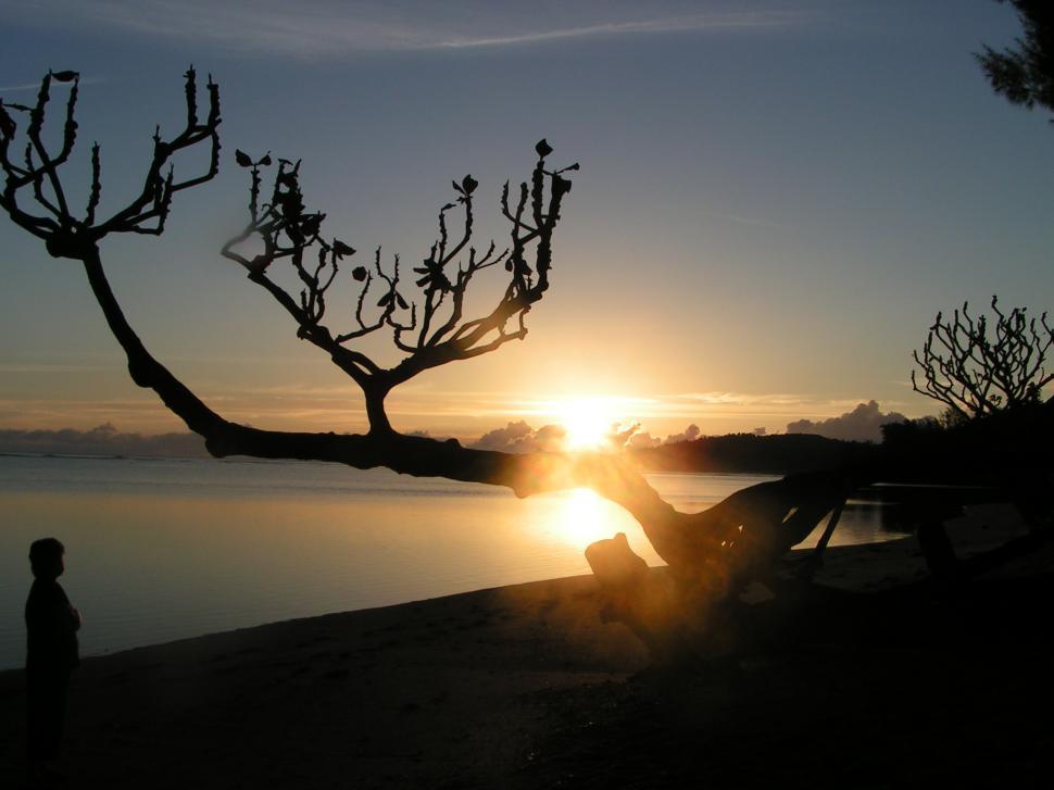 Free Image of Hawaiian Sunset 