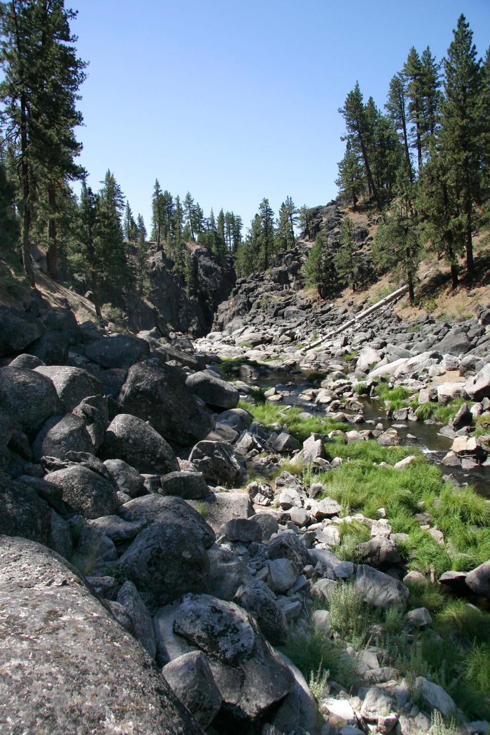 Free Image of Rocky River Flowing Through Forest 