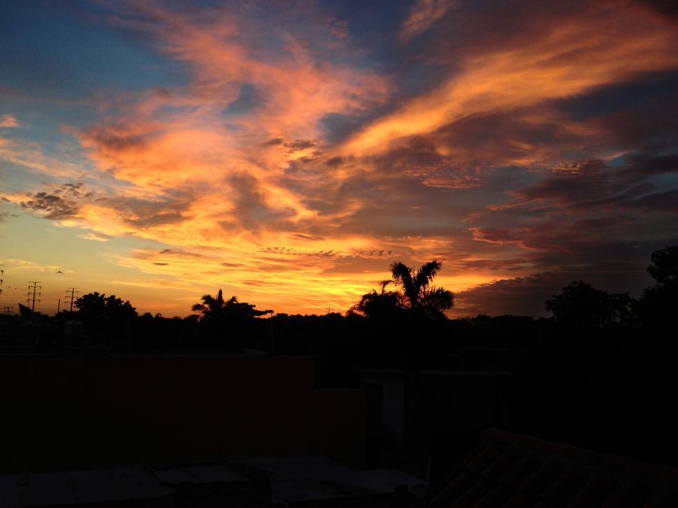 Free Image of Morning 