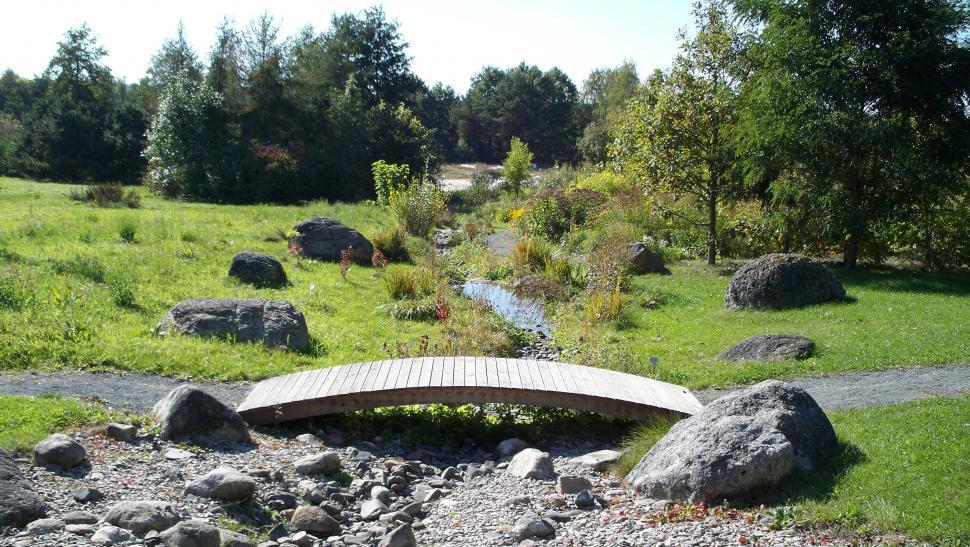 Free Image of Small wooden bridge 