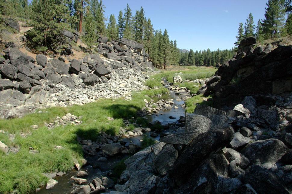 Free Image of Rocky River Running Through Forest With Trees 