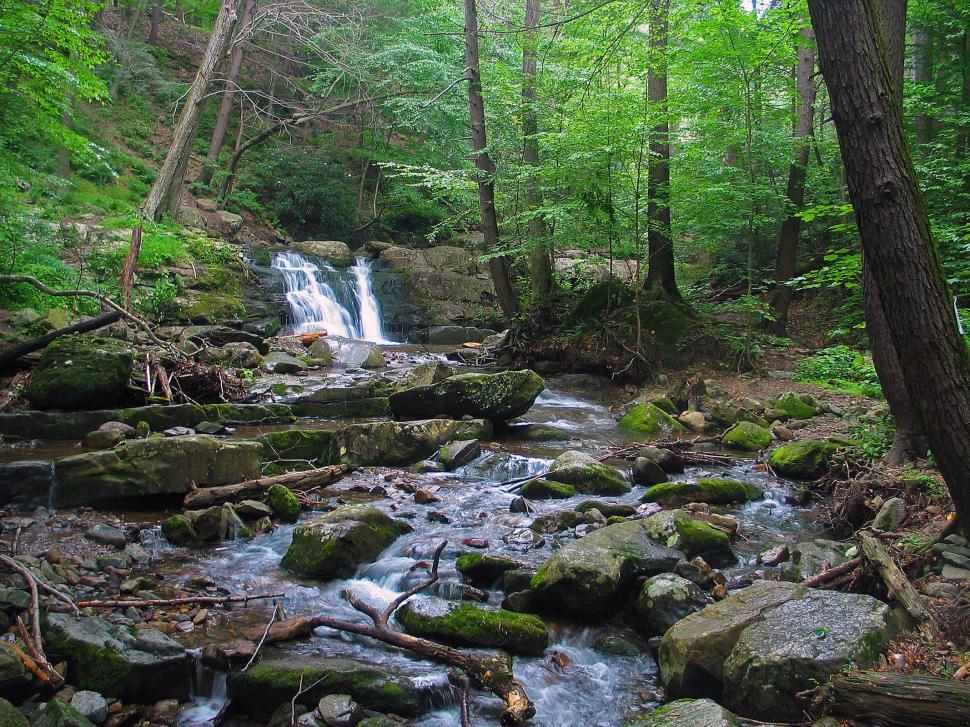 Free Image of Water cascade along Dunnfield Creek Trail 