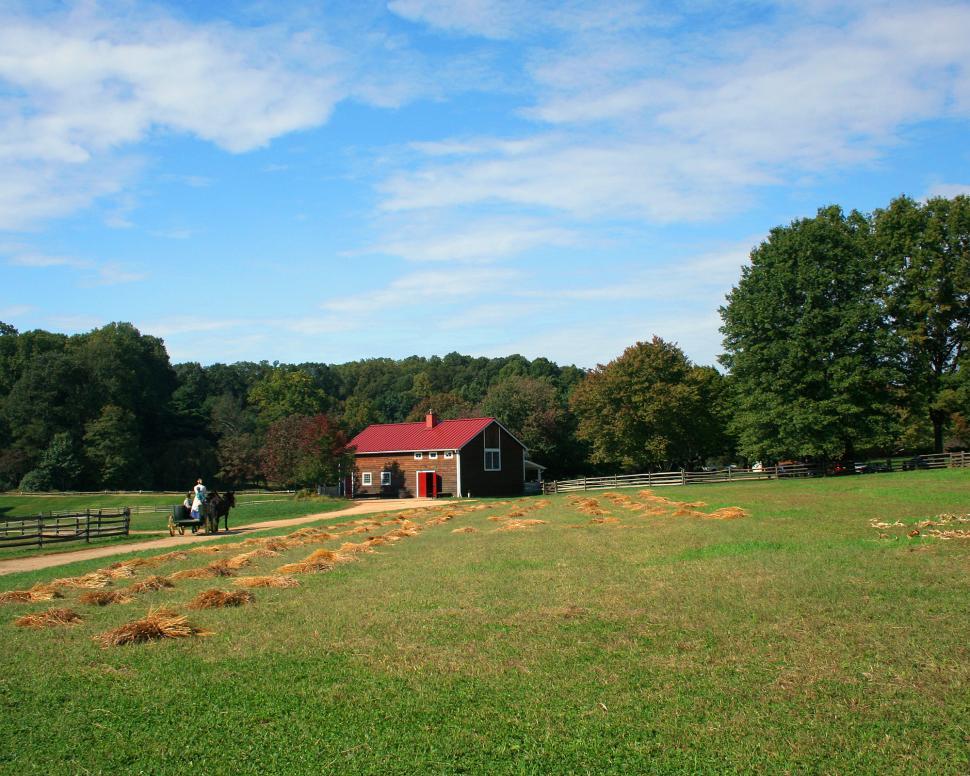 Free Image of Horse drawn carriage moving toward red roof house. 