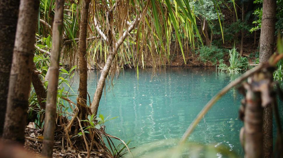 Free Image of Turquoise Swimming Pond 