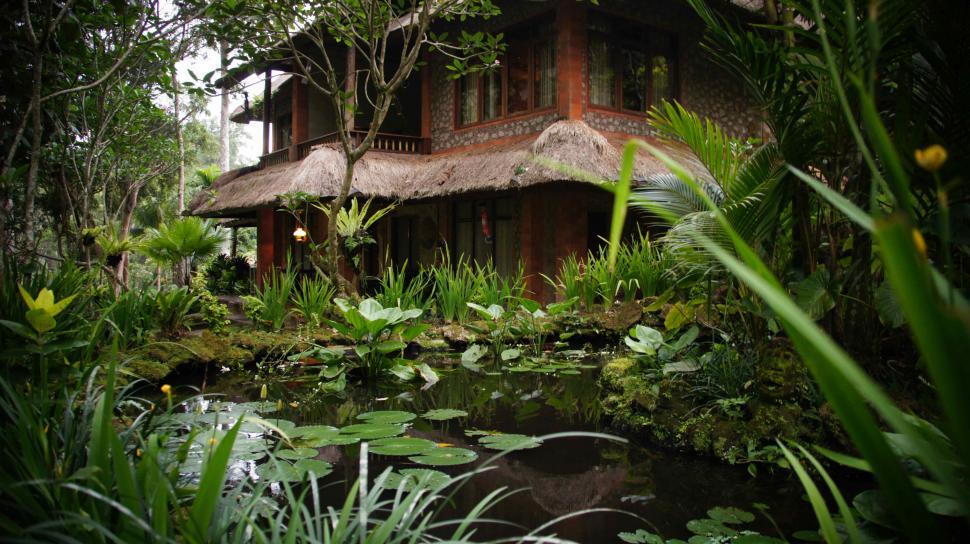 Free Image of Village in Bali 