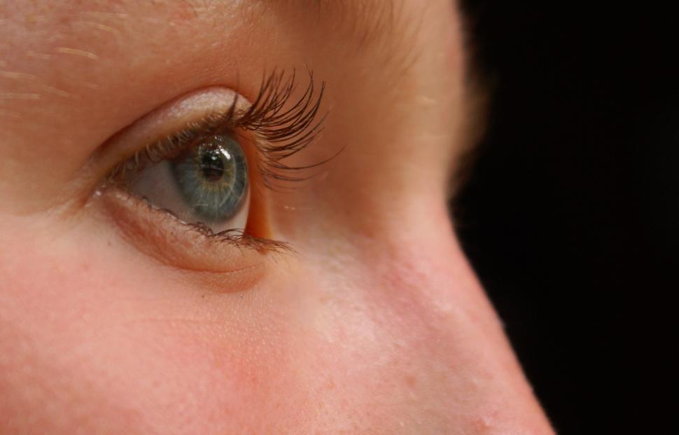Free Image of Always Watching 