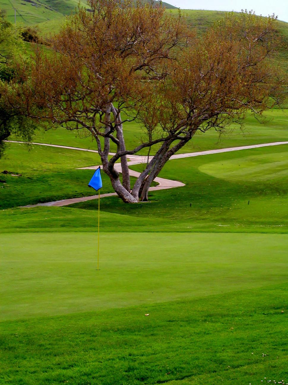 Free Image of Golf 