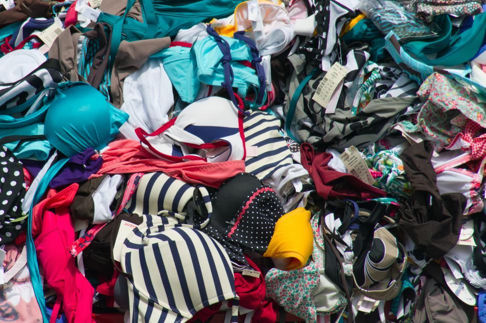 Free Image of Fashion 