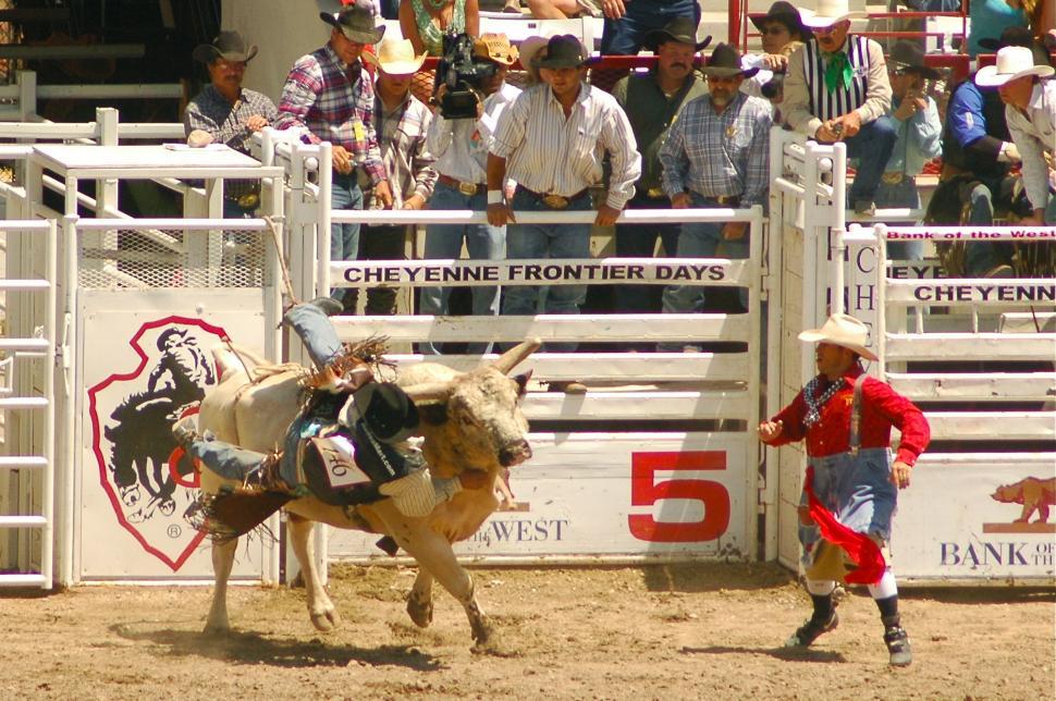 Free Image of Rodeo Crash 
