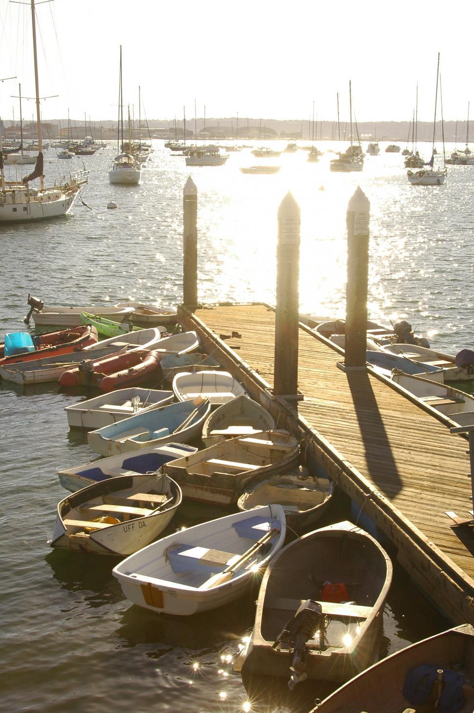 Free Image of Row Boats and Sailboats in the Marina 