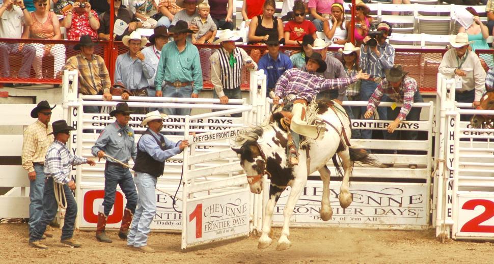 Free Image of Rodeo Cowboy on Bareback out of the Stall 