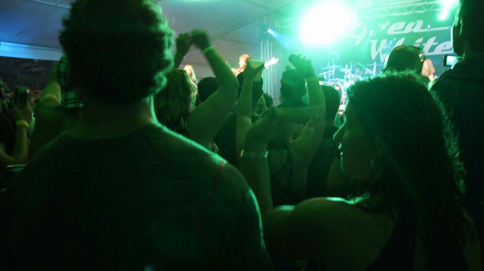 Free Image of Music Festival Fans 