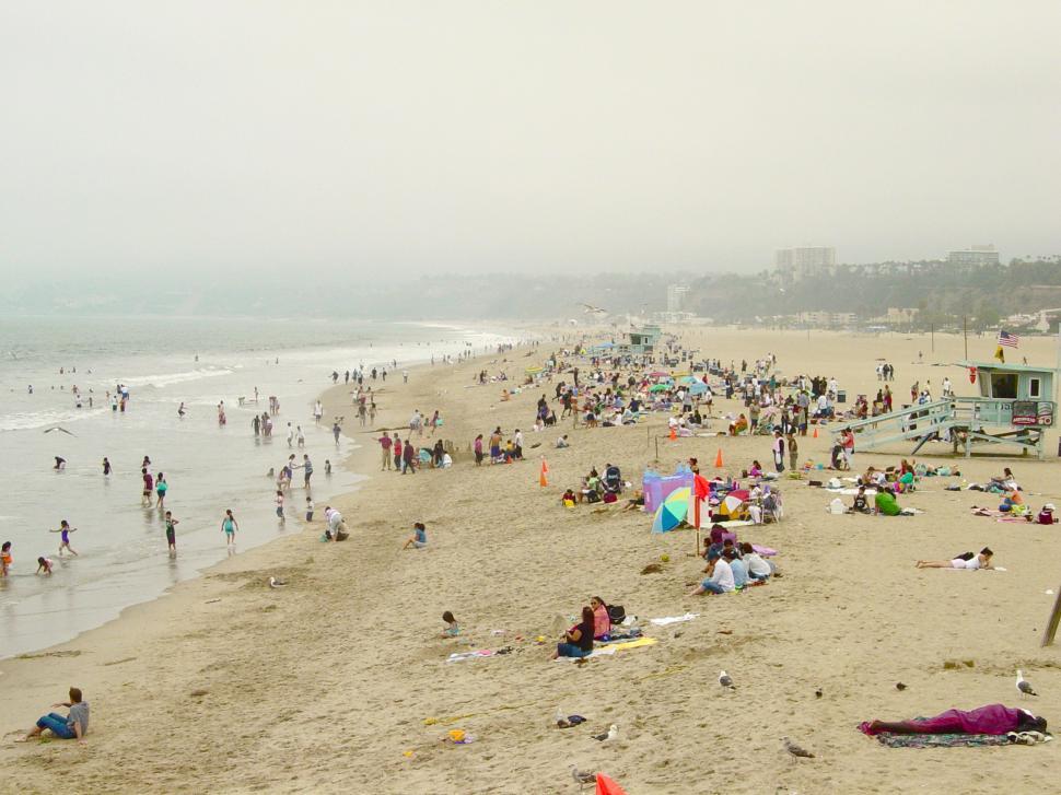 Free Image of A Day at the Beach 