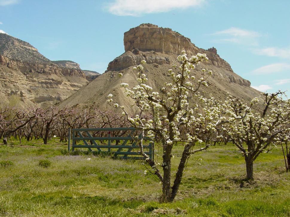 Free Image of Winery with High Plateau 