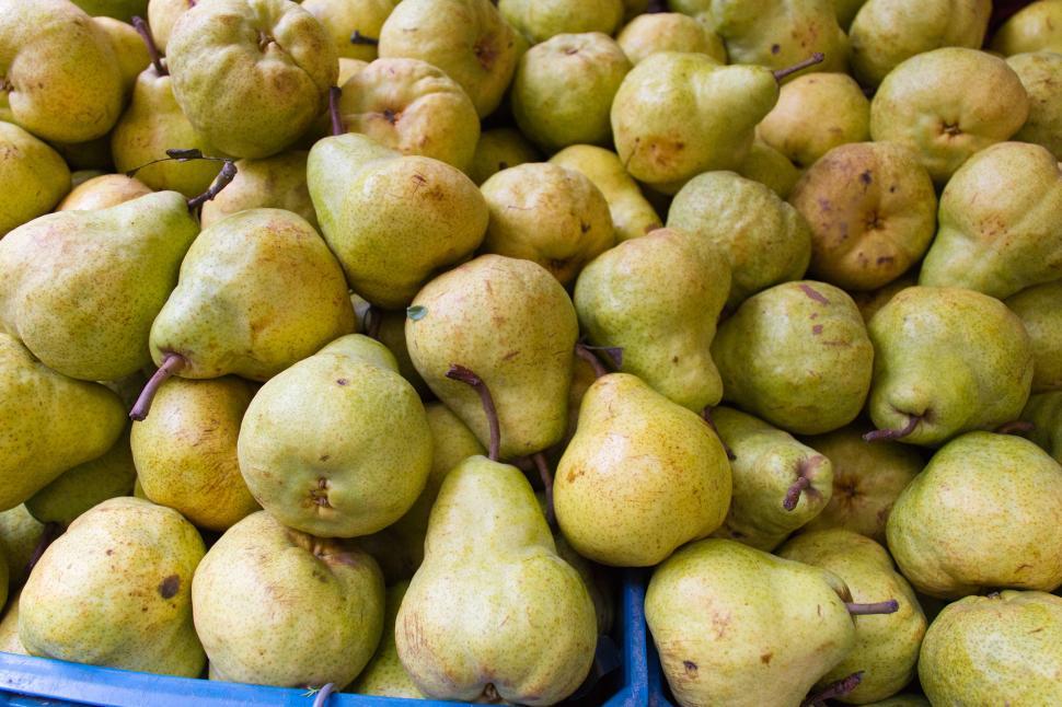 Free Image of Food 