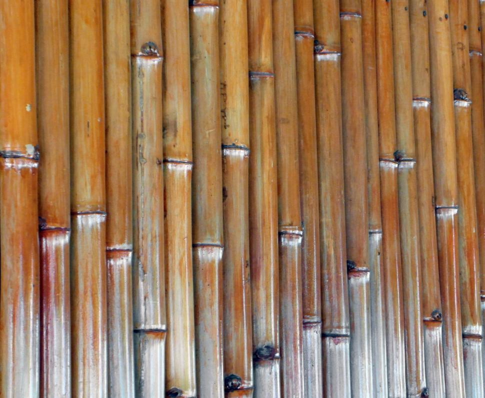 Free Image of Isolated Bamboo Background 