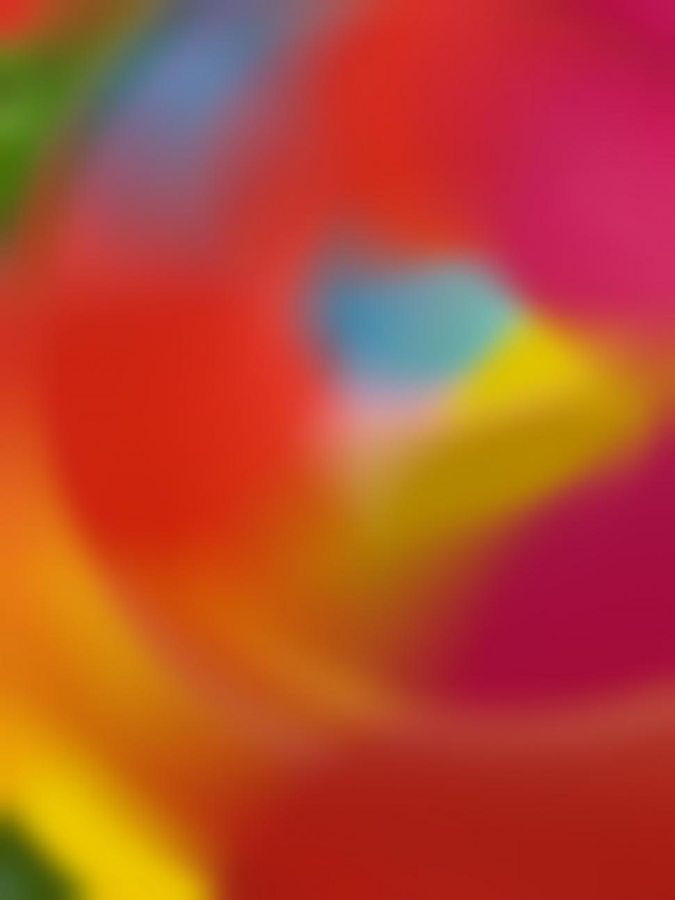 Free Image of Colorful Blurry Abstract Background 