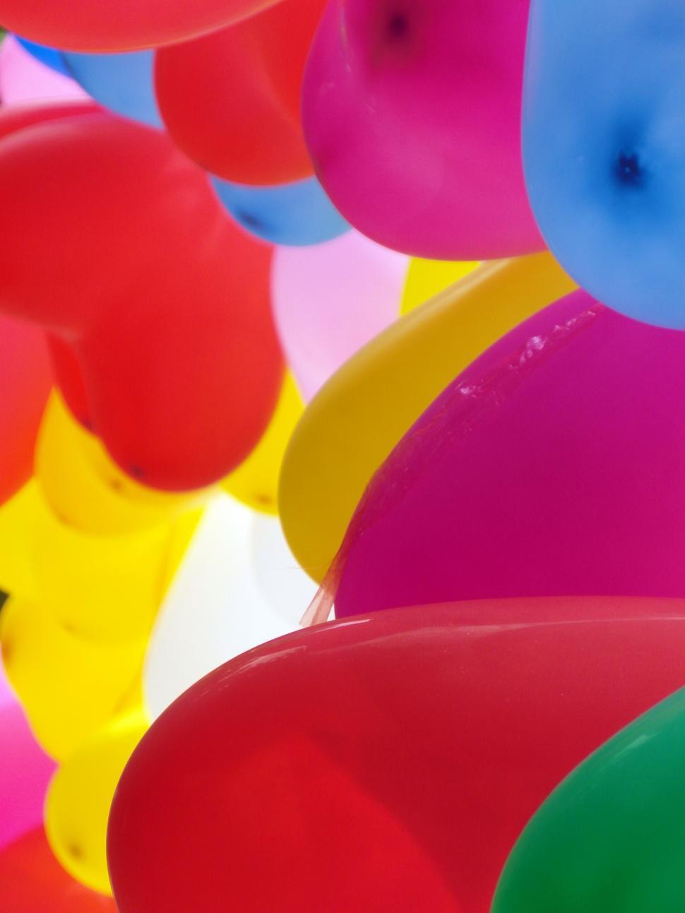 Free Image of Group of Colorful Balloons 