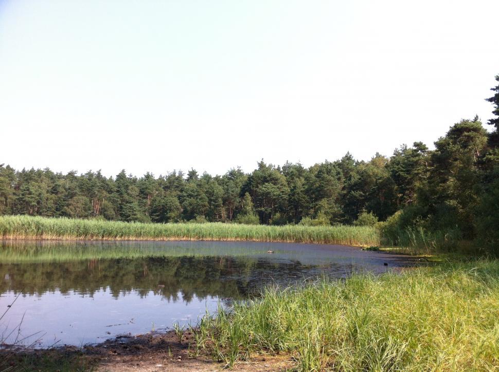 Free Image of Urban lake 