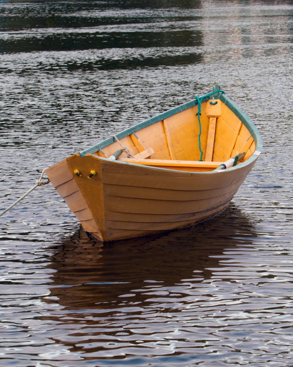 Free Image of Dory 