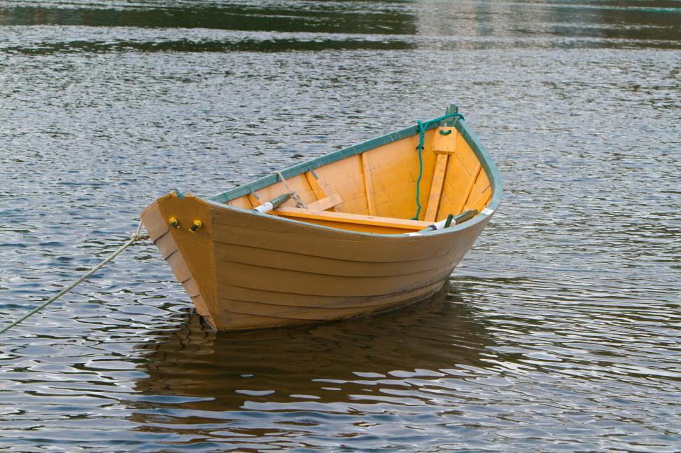 Free Image of Dory 