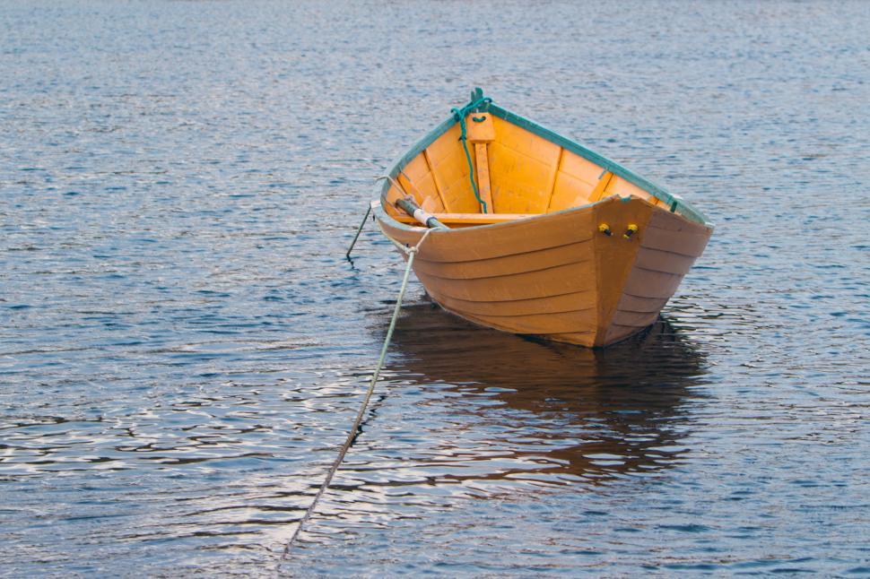 Free Image of Dory 