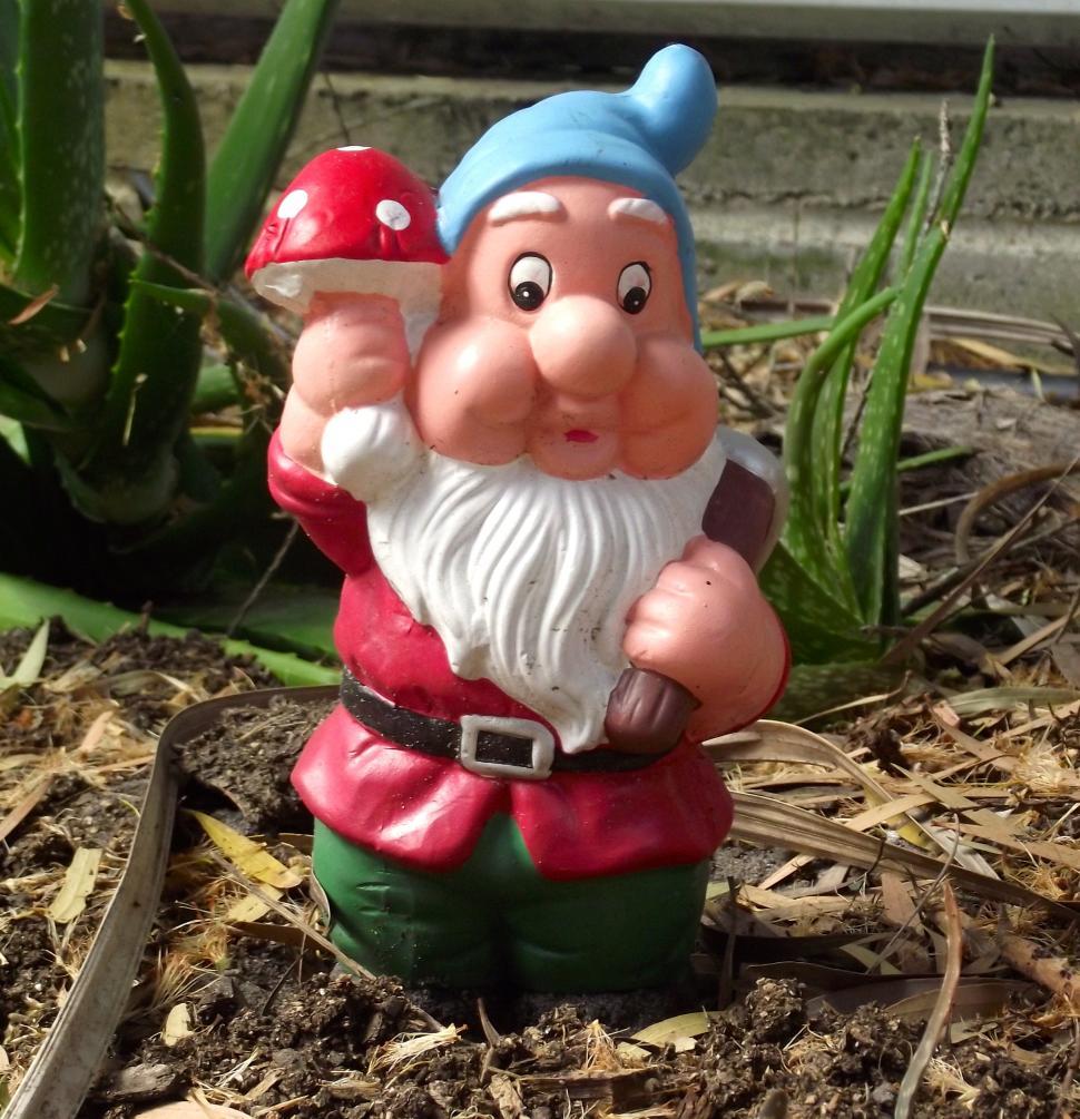Free Image of Garden gnome 