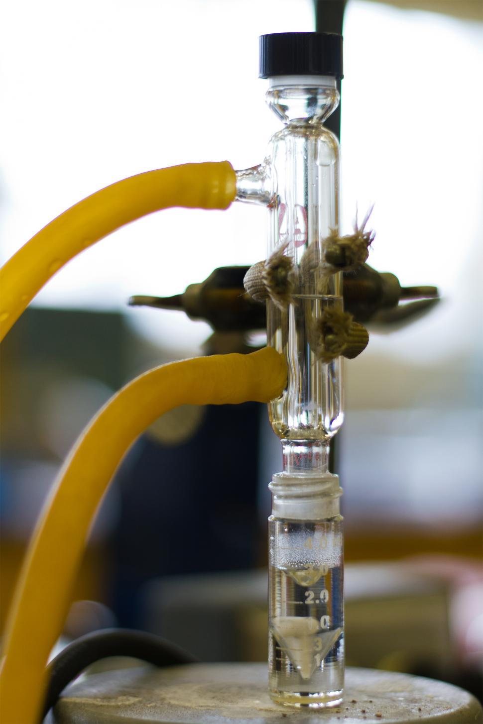 Free Image of chemical solution 