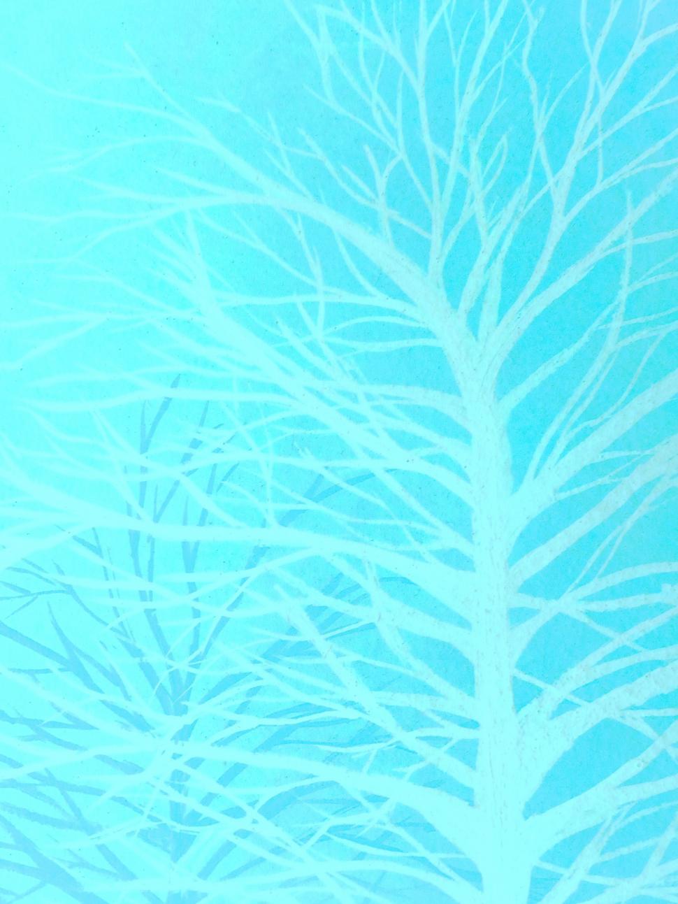 Free Image of Abstract Tree Branches Background 