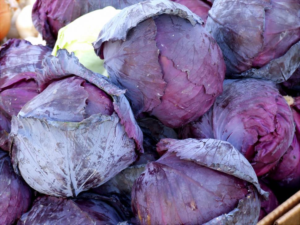 Free Image of Vegetables 
