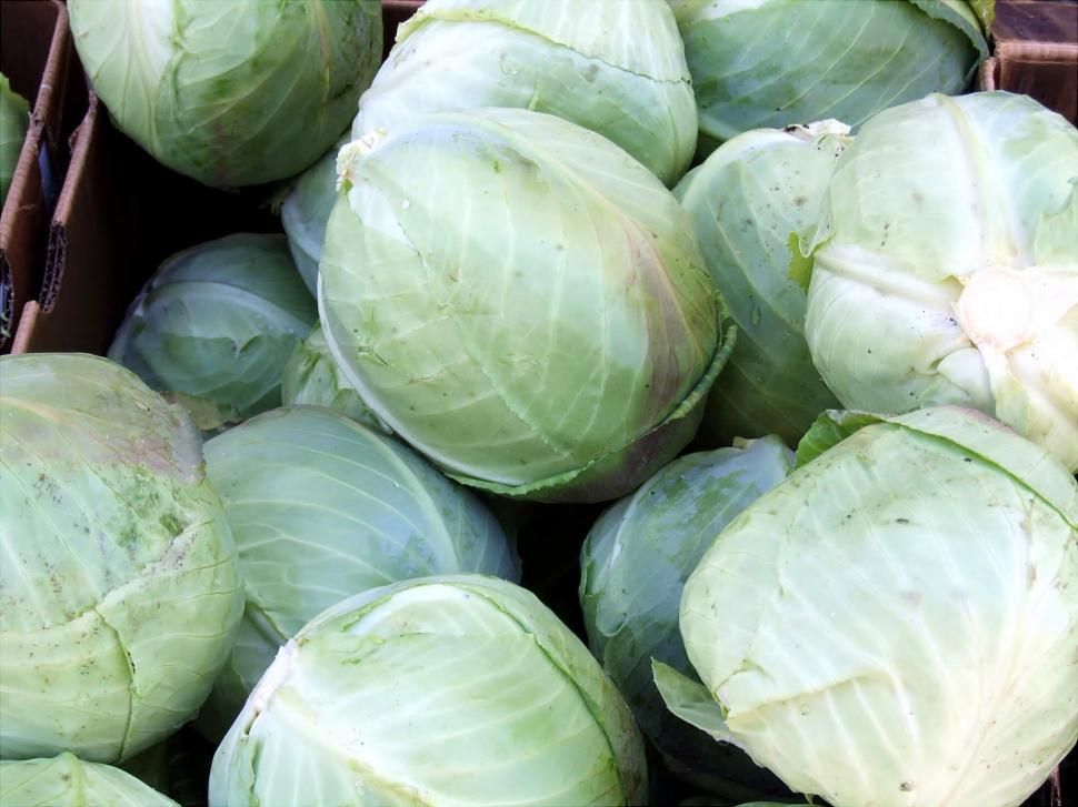 Free Image of Vegetables 