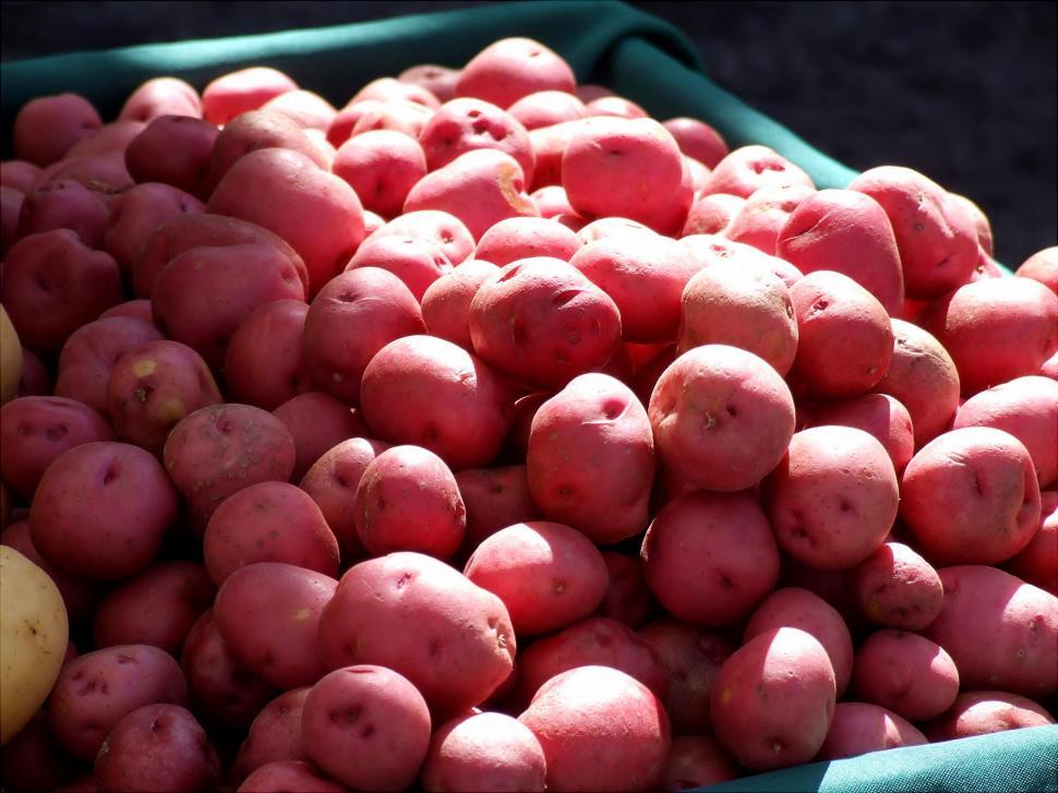 Free Image of Red Potatos 