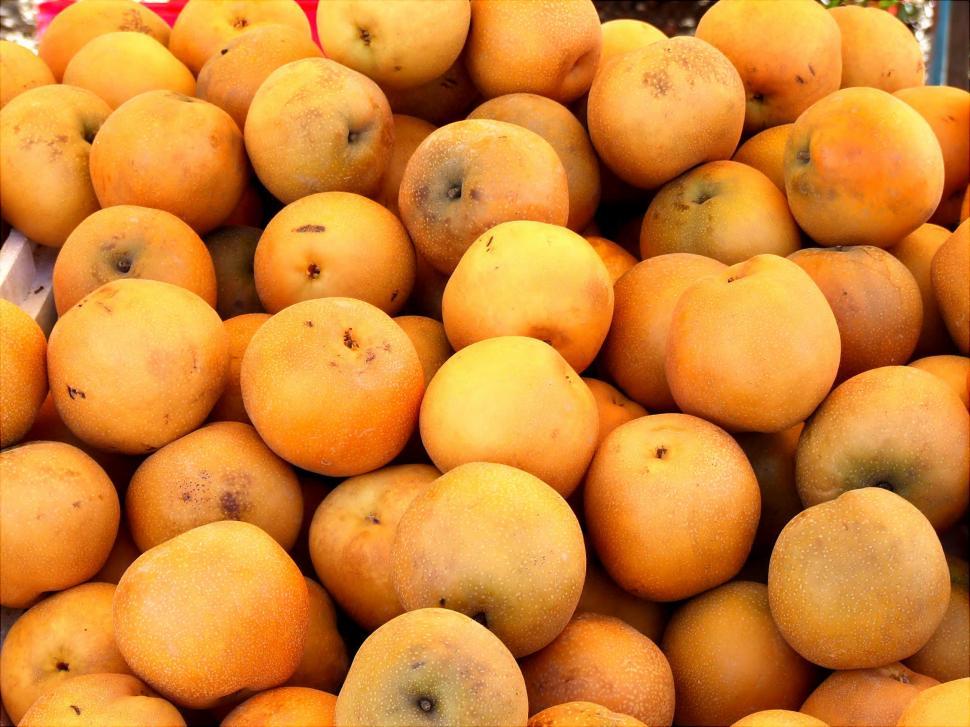Free Image of Pears 