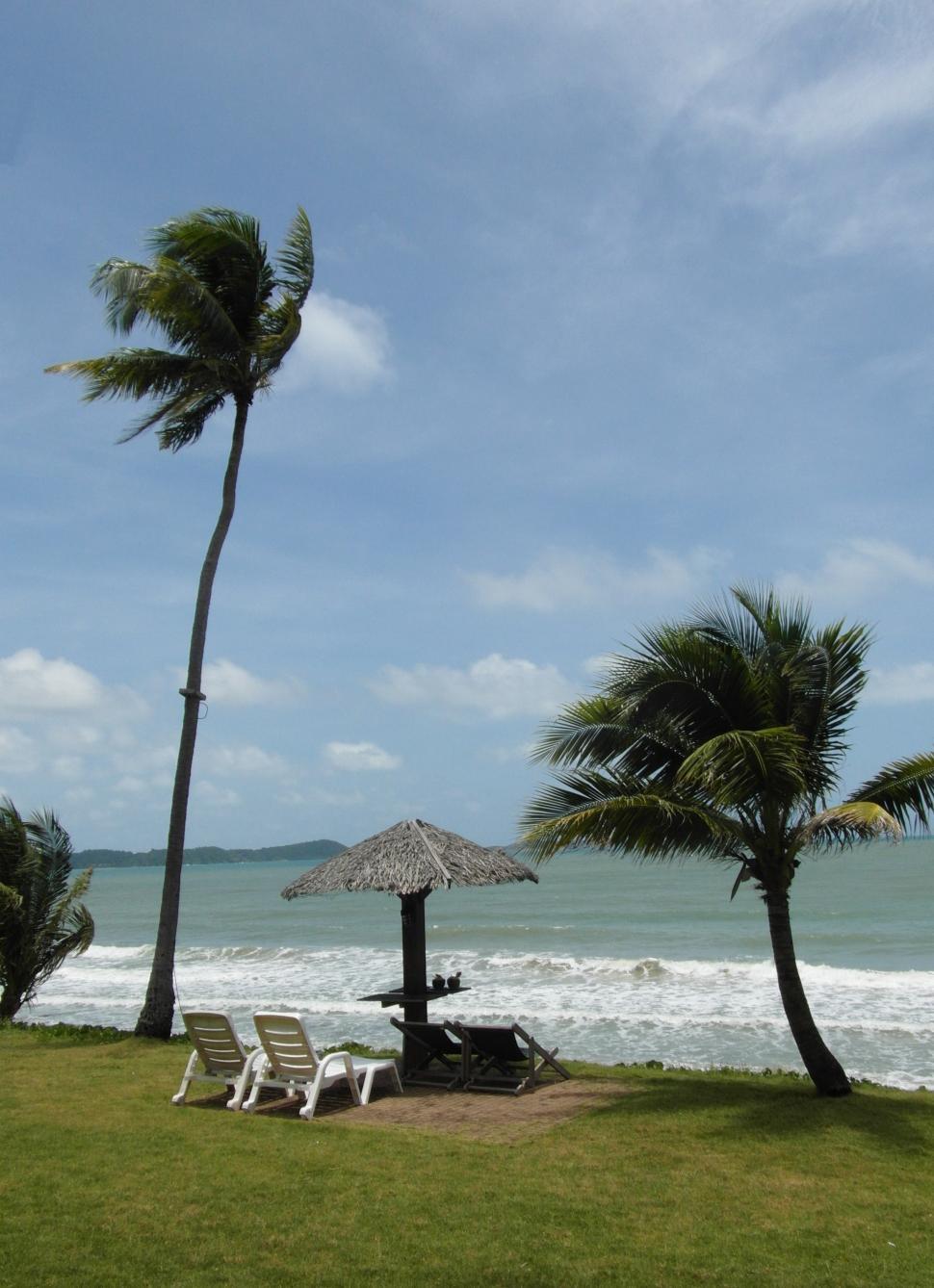 Free Image of Tropical Paradise 