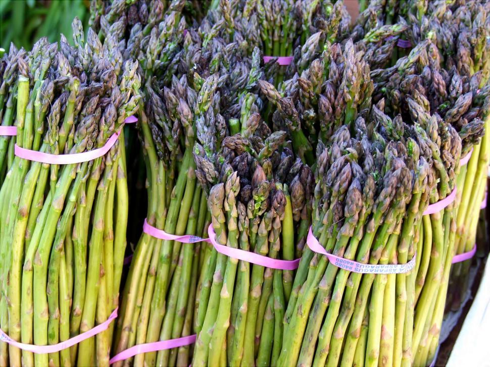Free Image of Asparagus 